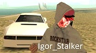 IgorStalker